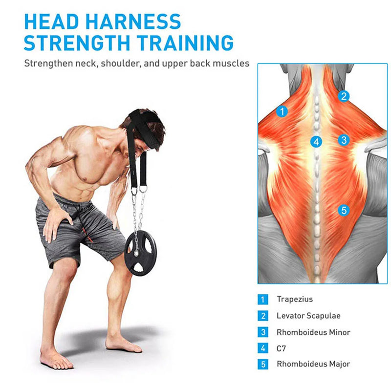 Head Neck Training Head Harness Body Strengh Exercise